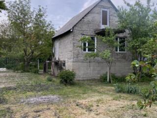 VILA LINGA VADUL LUI VODA!