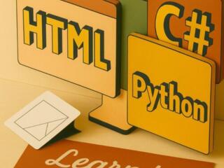 Индивидуальное обучение программированию