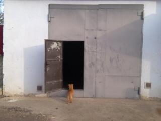 Сдам в аренду