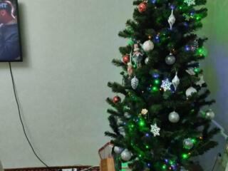 Продам елку