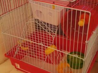 Клетка для хомячка