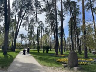 Продаж 3-кімнатної квартири під ремонт у Києві, Дарницький район, ...