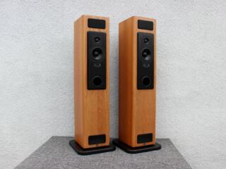 T+A Criterion TB 120. Напольная акустика, Германия. ТОП!