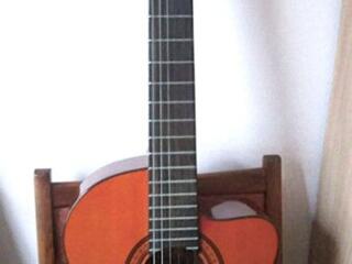 Полуакустическая гитара