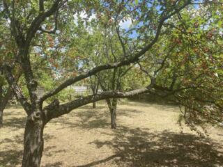 LOT LA DOAR 5 KM. DE LA CHISINAU URGENT!