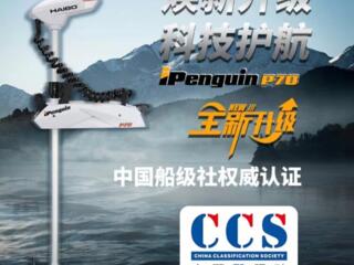 Электромотор Haibo