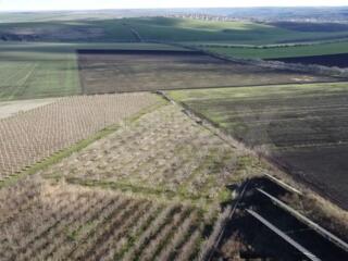 Teren Agricol, 1.14 ha, 10 km de Chișinău