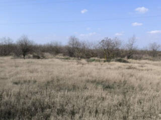 Продается участок в Холодной Балке.