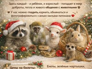 Контактный зоопарк в Тирасполе!
