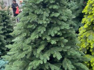 Ёлка, литая, премиум 1.8м-2.10 м, бесплатная доставка