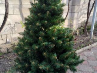 Продам искусственную ёлку