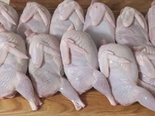 Свежие тушки перепелов с нашей фермы ✨ по доступным ценам.