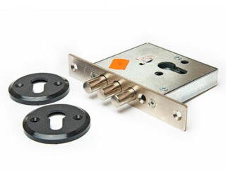 Avem pentru realizare Broasca ingropata Elbor Cremeni