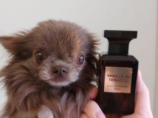 Мужской парфюм Vanille en tobacco