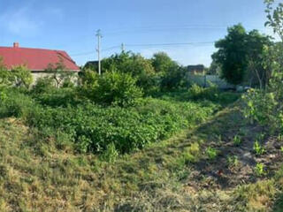 Продается участок с. Терновка.