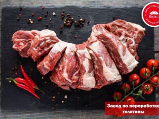 Вакансия в Нидерландах на выгодных условиях!