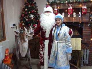 Дед Мороз и Снегурочка на дом