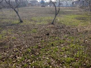 Продаётся участок в  с.Протопоповка.