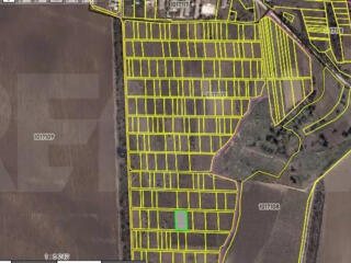 Teren de 16 Ari în Satul Chetrosu, Raionul Anenii Noi – Oportunitate d