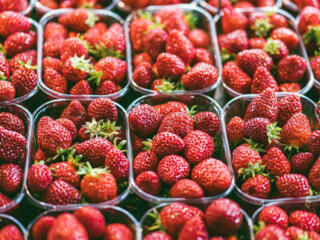 Работа по сбору клубники в Германии! 2000 евро! Биопаспорт!