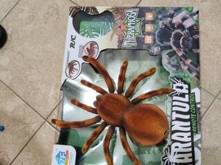 Паук на пульте, в упаковке