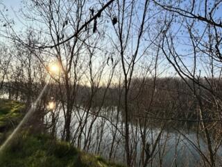 Дом возле Днестра. 31 сотока. Скважина