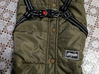 Продаю новый комбинезон для собачки.