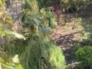 Уютный дом в с. Нерубайском вблизи лимана