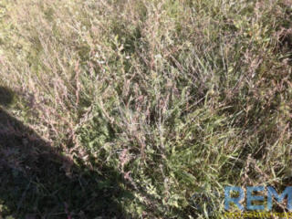 Продается участок вс. Нерубайское с широким фасадом.