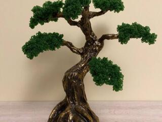 Продам бонсай - интерьерные деревья ручной работы