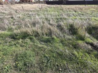 Предлагается чистый и упорядоченный земельный участок, идеально ...