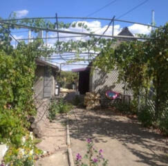 Продаётся хороший дом в Ангелиновке Раздельнянского района Одесской ..