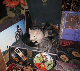 Патефон времен СССР 1937 года, гильза и самолеты