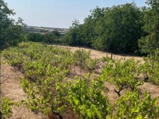 ОДНОЭТАЖНЫЙ ДОМ с. ДАЧНОЕ 17 СОТОК