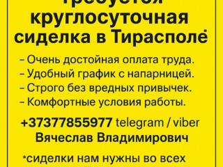 Агентству "Алиса" требуется круглосуточная сиделка в г. Тирасполь!