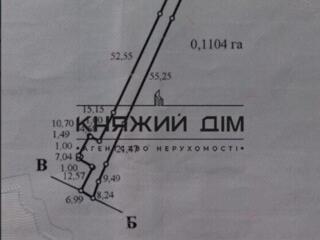 Дом по центральной улице в Лесниках можно под бизнес, можно половину .
