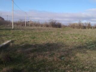 Предлагается к продаже участок земли в Красноселке. Общая площадь 9,6 