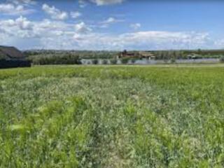 В продаже земельный участок общей площадью 11 соток. Угловой участок .