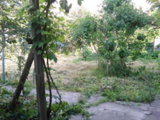 Участок 15 соток на ст. Усатово.