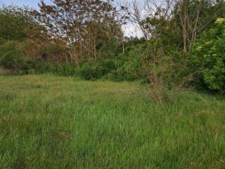 Участок 47 соток с выходом к лиману, Сухой Лиман