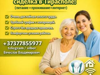 Агентству "Алиса" требуется круглосуточная сиделка в г. Тирасполь!