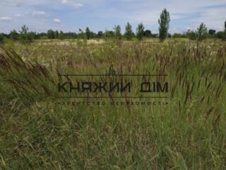 Продажа земельного участка 20 соток в Займище Бориспольского р-на. ...