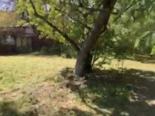 Фасадный участок Чубаевка / Фонтан