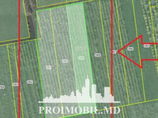 Spre vânzare se oferă teren agricol, situat în Criuleni, satul ...