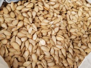 Продам семена тыквы