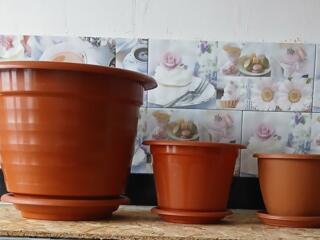 Для растений горшки