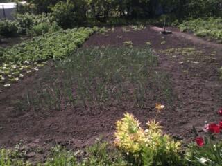 Продам фасадный участок 5.5 соток на Фонтане