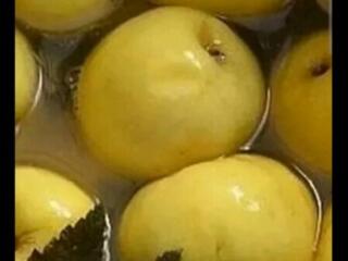 Продам яблоки моченые