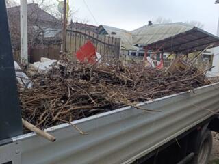 Evacuarea de gunoi dupa reparatie Balţi