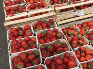 Германия! Сбор клубники!